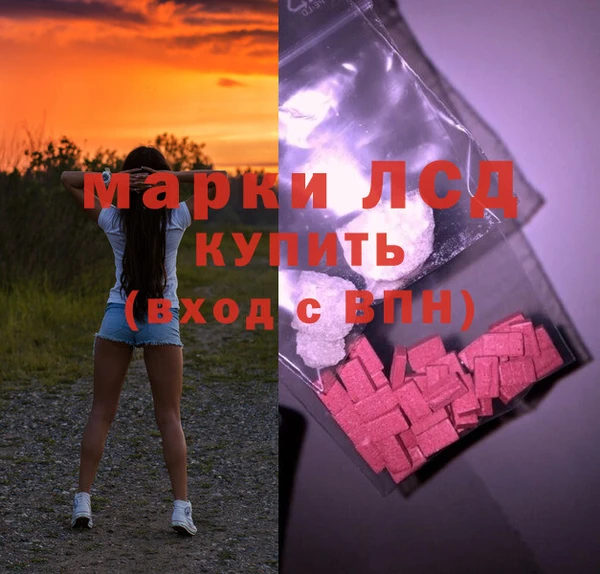 ГАЛЛЮЦИНОГЕННЫЕ ГРИБЫ Абаза