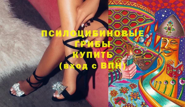 ГАЛЛЮЦИНОГЕННЫЕ ГРИБЫ Абаза