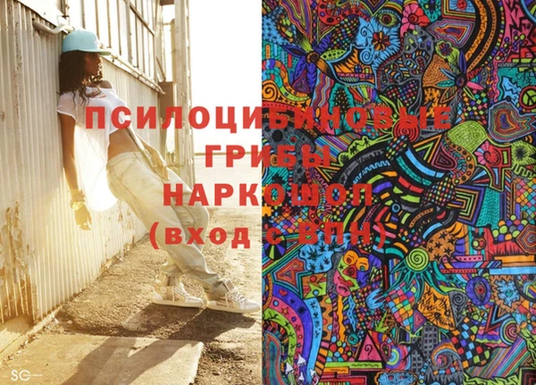 ГАЛЛЮЦИНОГЕННЫЕ ГРИБЫ Абаза