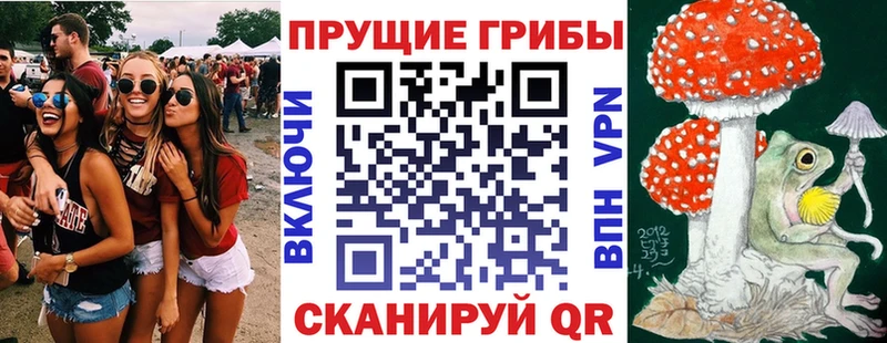 Псилоцибиновые грибы MAGIC MUSHROOMS  ОМГ ОМГ онион  Алзамай  купить наркотики сайты 